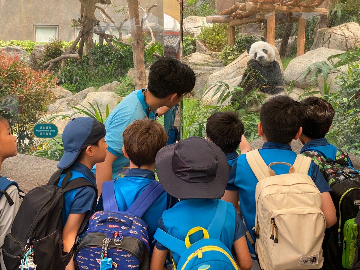 "World Environment Day" — In-park programme registration (For Primary Schools only)