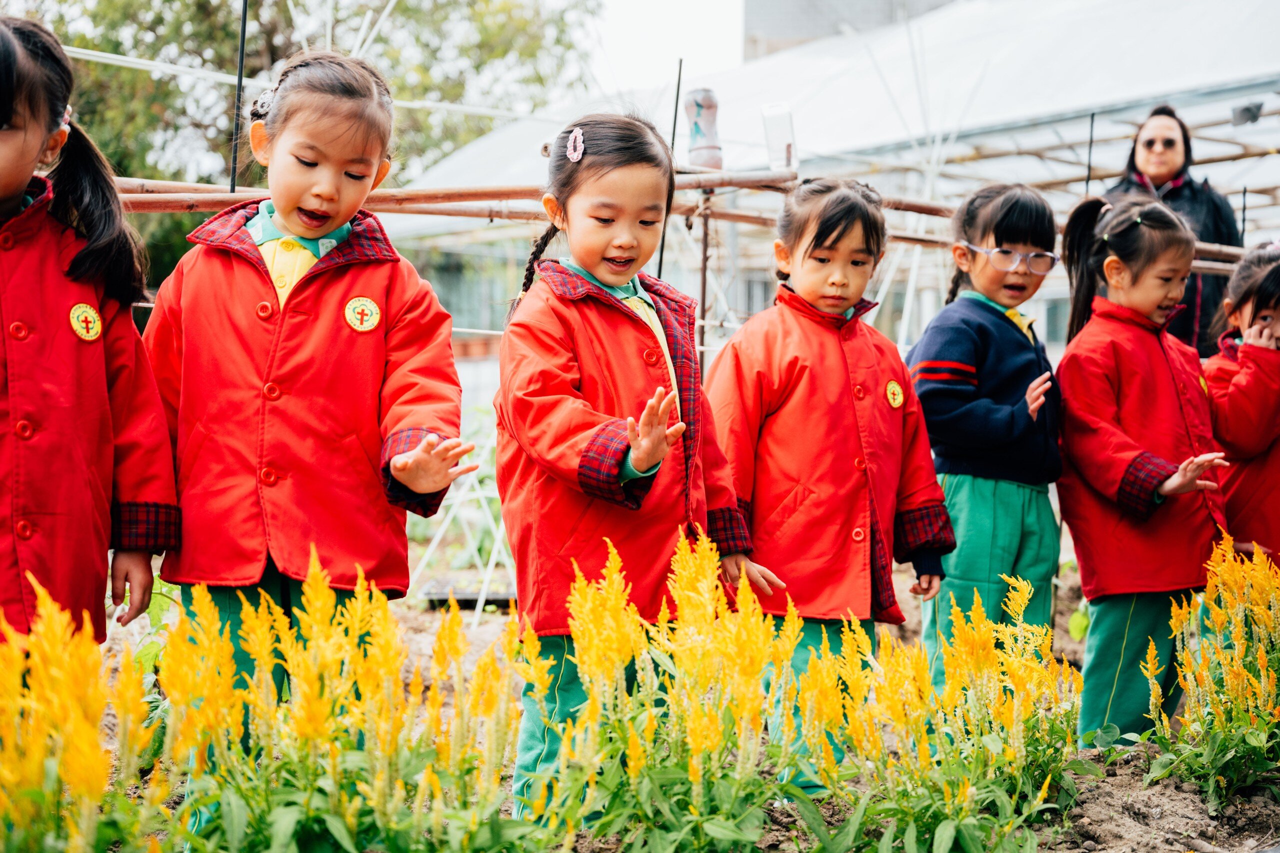 Farm Visit (for primary schools only)