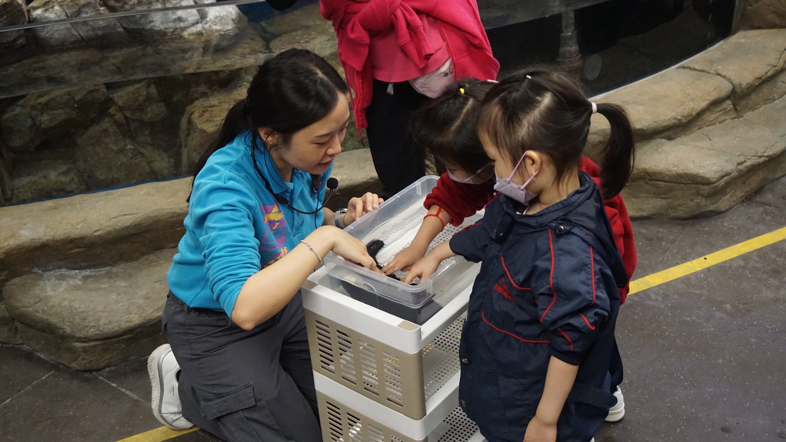"World Environment Day" — In-park programme registration (For Kindergarten only) [Second-round registration]