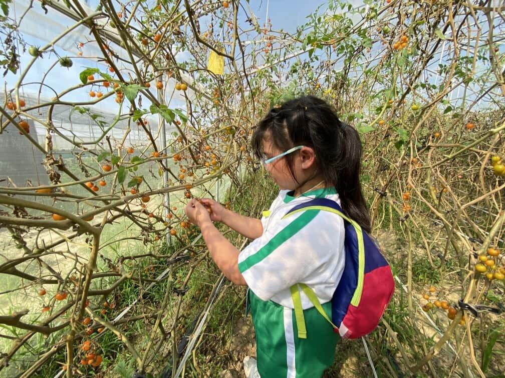 "Farming at School" Farm Visit