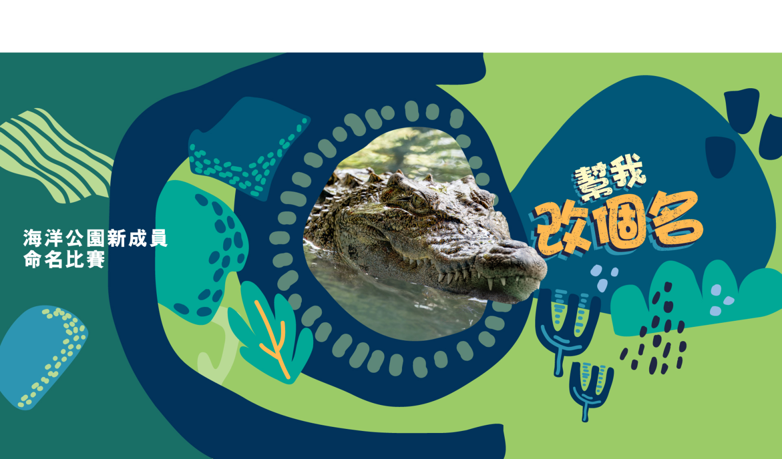 Ocean Park’s New Member Naming Challenge (Second Stage: First Round Voting Activity)